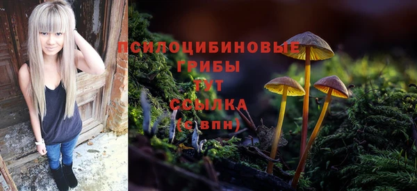 альфа пвп Бородино