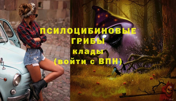 альфа пвп Бородино