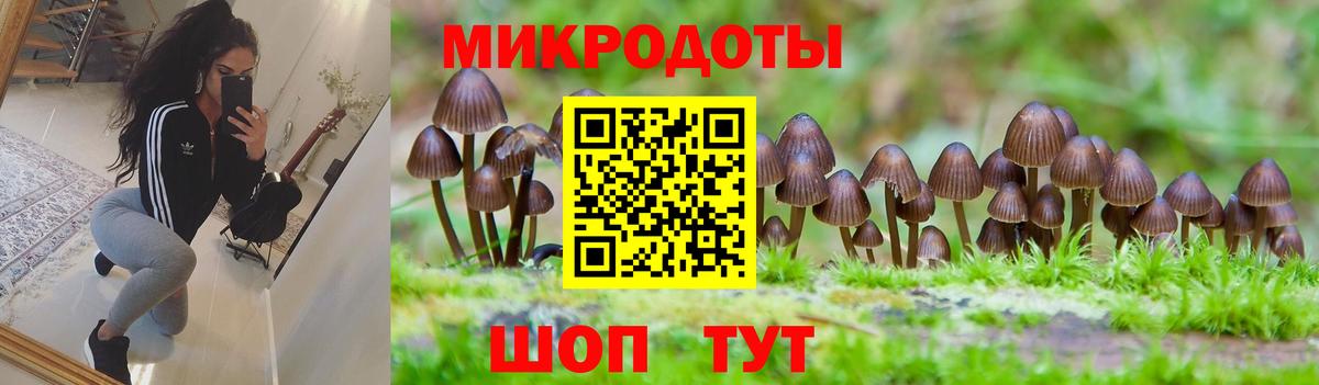Галлюциногенные грибы GOLDEN TEACHER  Псилоцибиновые грибы мицелий  Радужный  Вход с VPN 